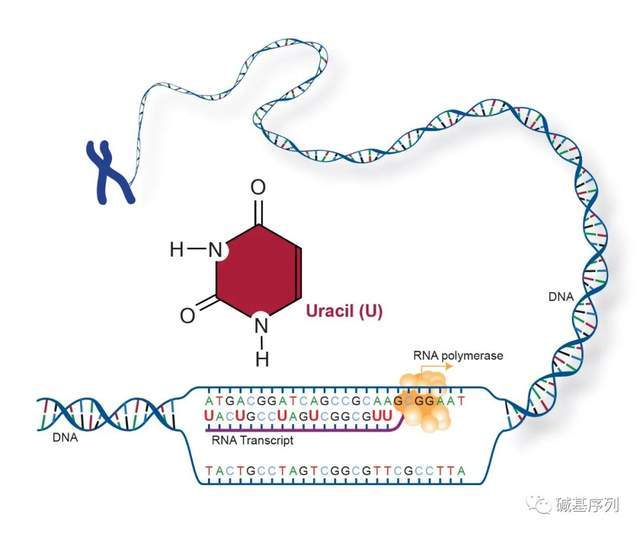 全面失控:私家侦探妈妈
