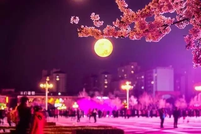 四个婚礼和一个葬礼