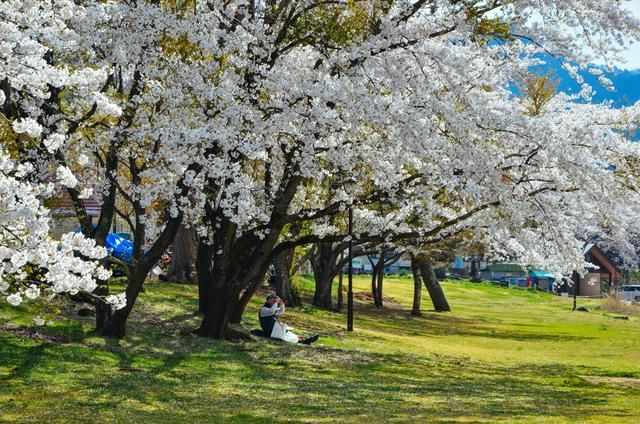 关于拉克拉女王的惊人真相
