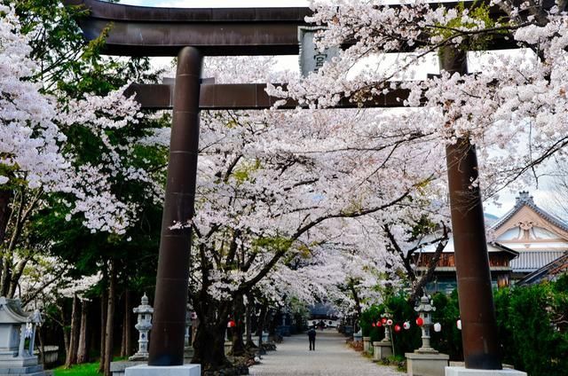 关于拉克拉女王的惊人真相