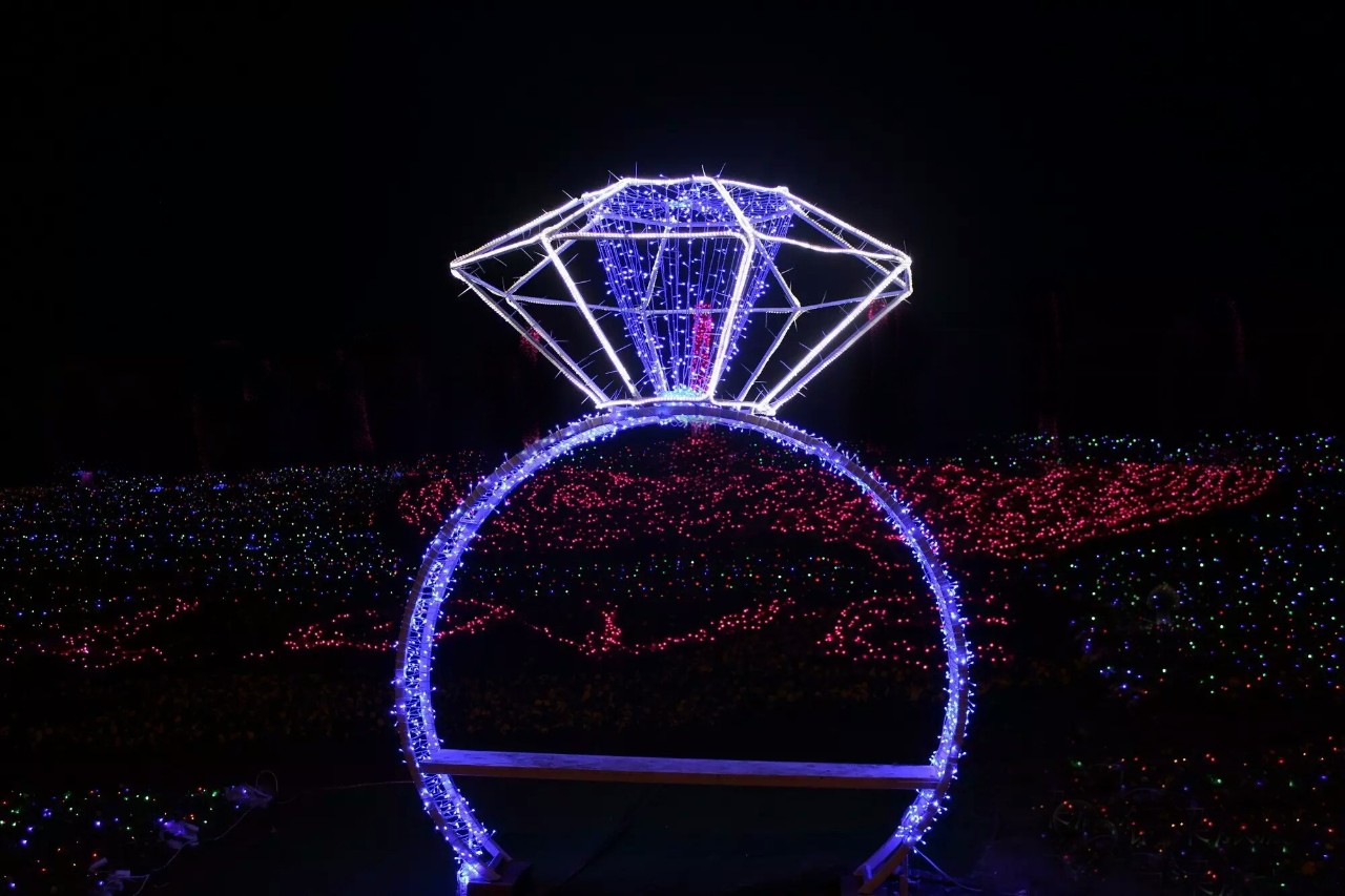 养蜂人 (英语版)