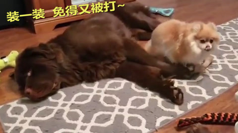 哆啦A梦：大雄的月球探险记