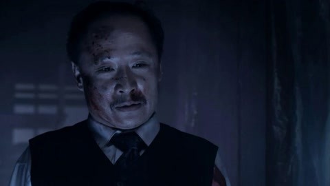 光荣之路上的狗