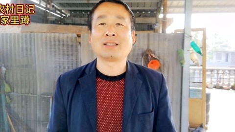 六十一号的恐怖