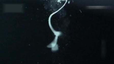 八步半喜怒哀乐(粤语版)