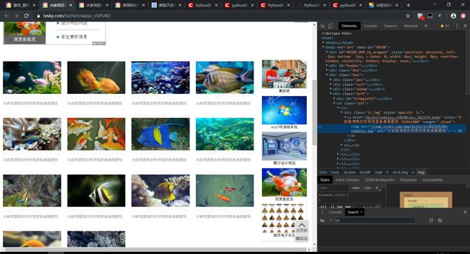 兵临城下之决战要塞
