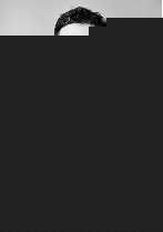 克劳斯：圣诞节的秘密