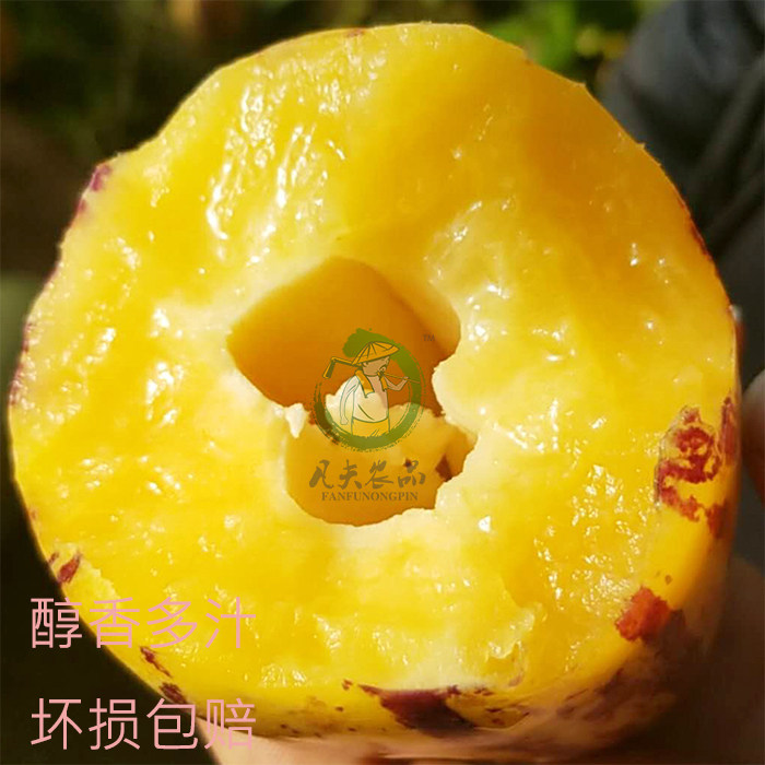 在大雪封闭的山庄里