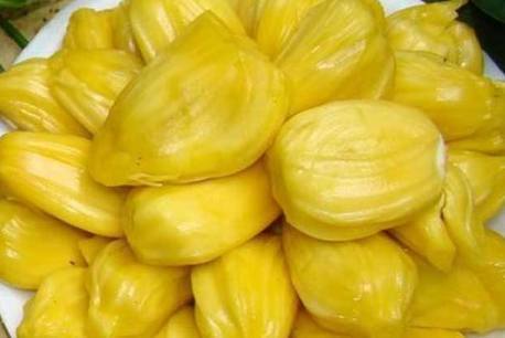 在前进的道路上