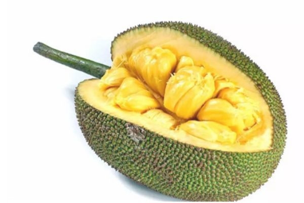 兵王之绝境狙杀