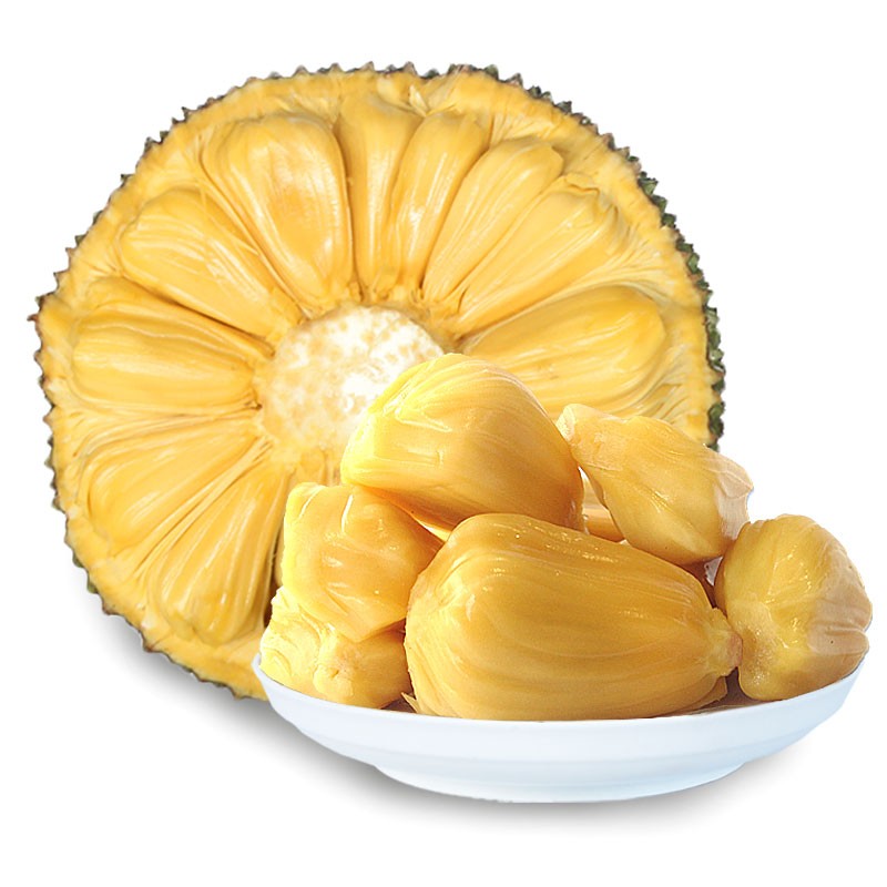 再见美人鱼(上部)