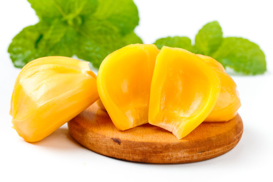 克莱拉与熊的秘密