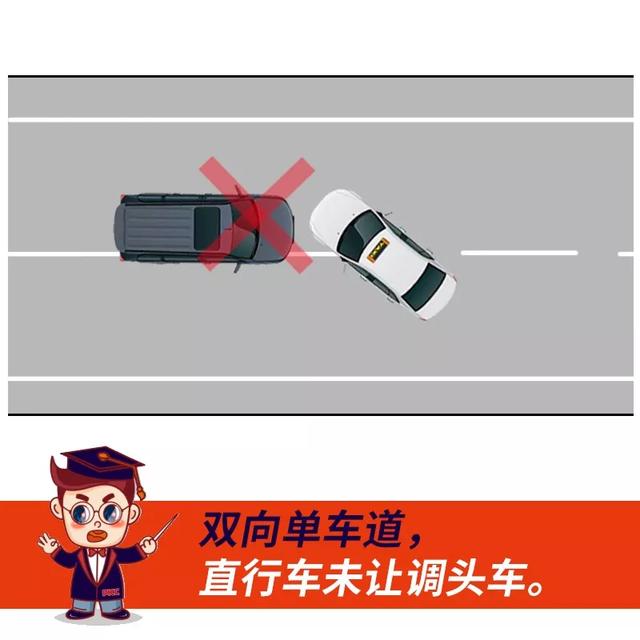 关于史蒂夫的一切