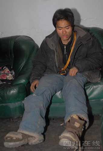 光荣之路上的狗